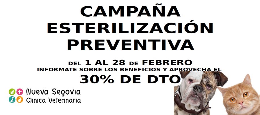 Campaña esterilización febrero 2019