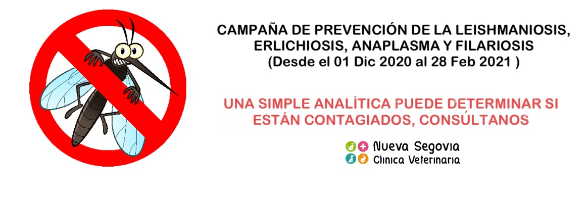 Clínica Veterinaria Nueva Segovia, campaña Leishmaniosis 2020-21