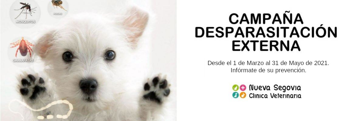 Campaña desparasitación externa Marzo en Clínica Veterinaria Nueva Segovia