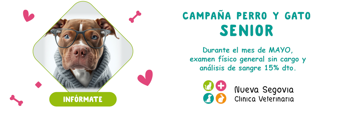 Campaña senior 2023 en la Clínica Veterinaría Nueva Segovia
