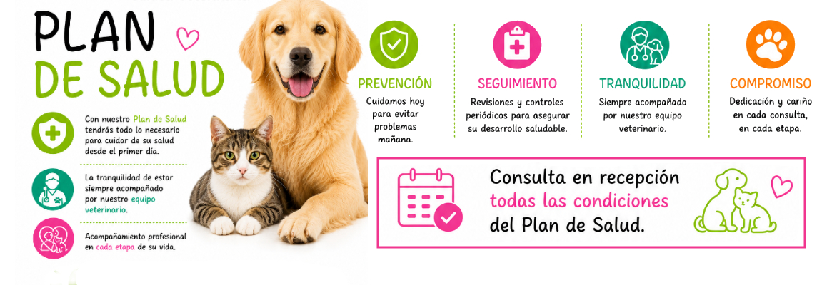 Campaña Plan de Salud de la Clínica Veterinaria Nueva Segovia