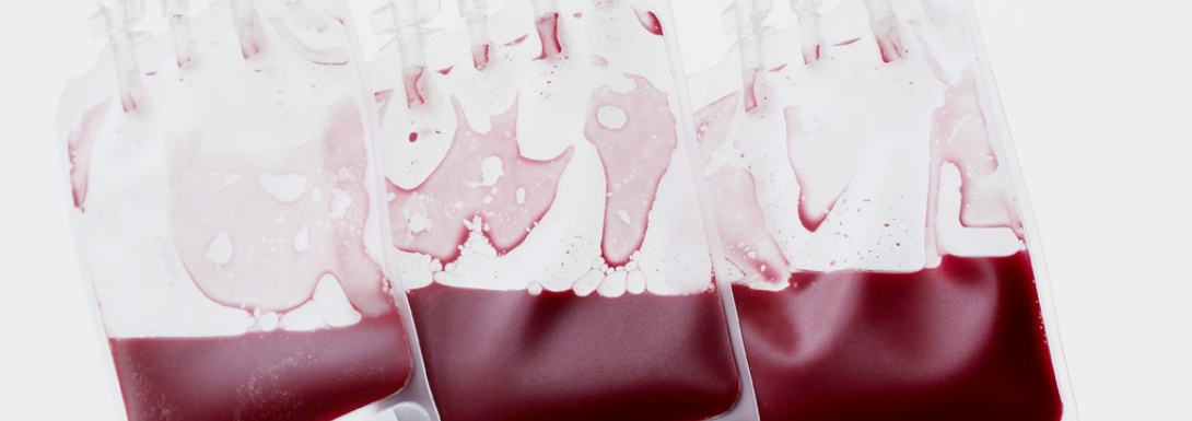 Servicio de banco de sangre en la Clínica Veterinaria Nueva Segovia