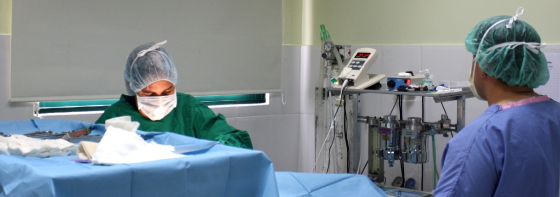 Servicios de cirugía en la Clínica Veterinaria Nueva Segovia