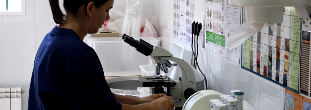 Servicios de laboratorio en la Clínica Veterinaria Nueva Segovia