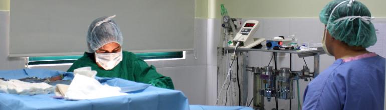 Servicios de cirugía en la Clínica Veterinaria Nueva Segovia