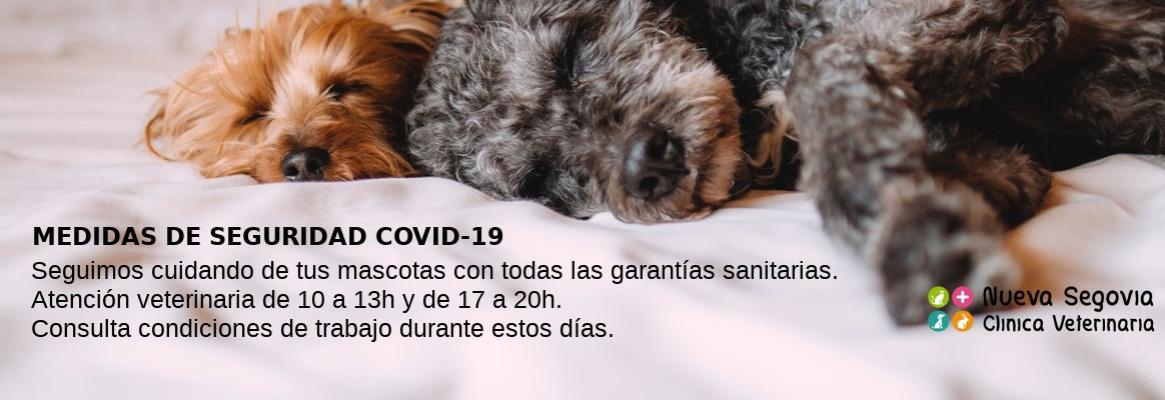 Medidas sanitarias COVID-19 Veterinaria Nueva Segovia