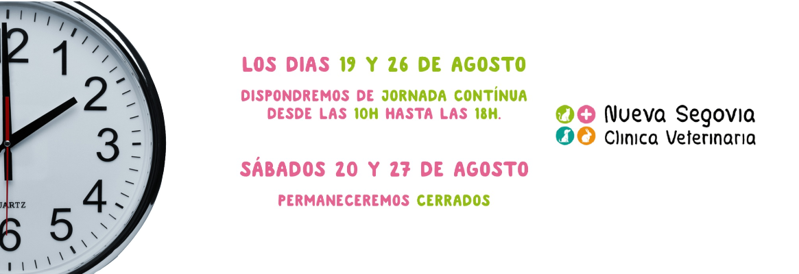 Clínica Veterinaria Nueva Segovia, horario especial agosto 2022
