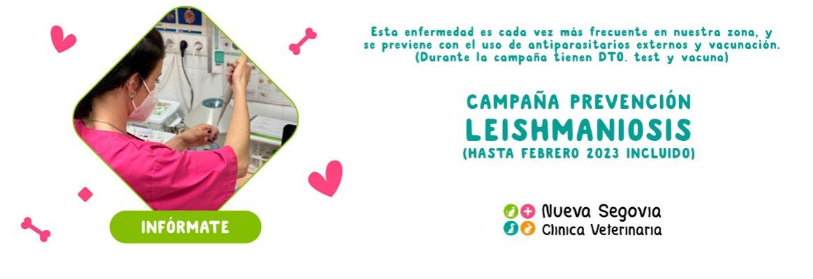 Clínica Veterinaria Nueva Segovia Campaña leishmaniosis 2023