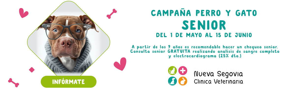 Campaña senior 2023 en la Clínica Veterinaría Nueva Segovia