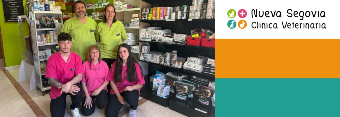 Equipo de profesionales de la Clínica Veterinaria Nueva Segovia